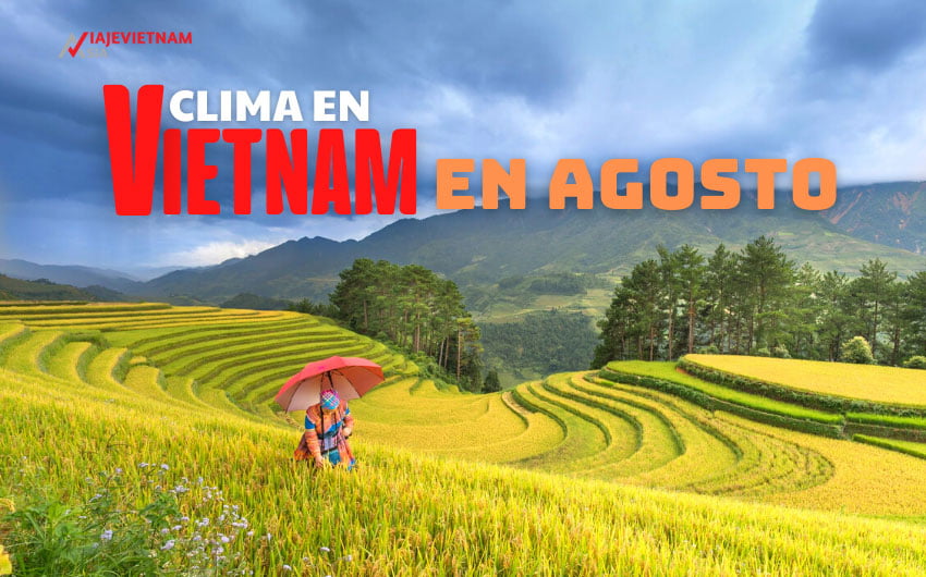 Clima en Vietnam en Agosto